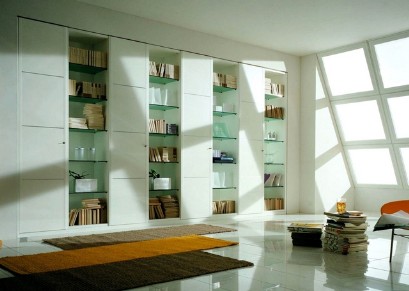 Library with glass shelves