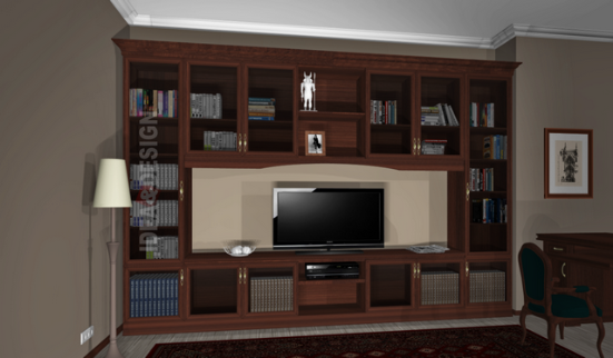 Custom Cabinet for library